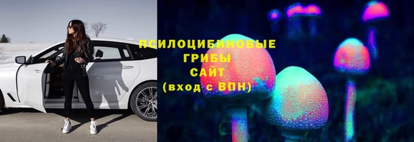 ГАЛЛЮЦИНОГЕННЫЕ ГРИБЫ Вязьма
