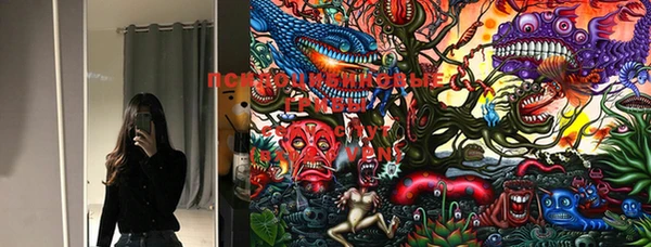 PSILOCYBIN Туринск