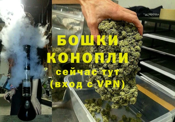 ГАЛЛЮЦИНОГЕННЫЕ ГРИБЫ Липки