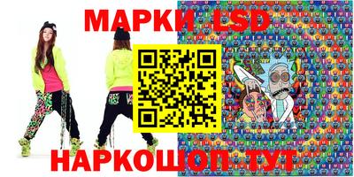 шишки Кингисепп
