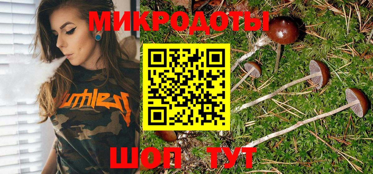 Галлюциногенные грибы Psilocybine cubensis  Вход с VPN  Мариинск  Псилоцибиновые грибы ЛСД 