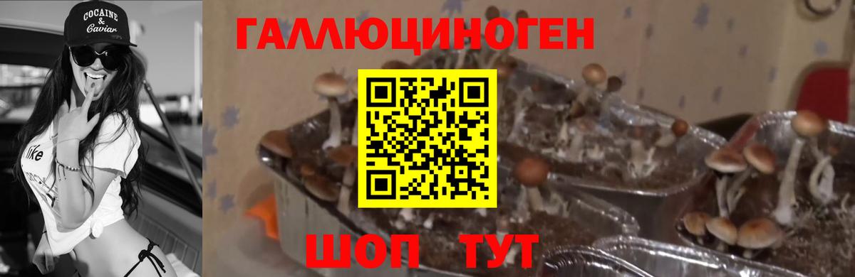 Псилоцибиновые грибы MAGIC MUSHROOMS  где можно купить наркотик  Мариинск 